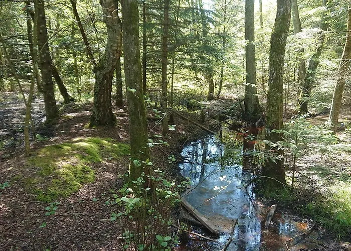 Secluded Pool Retreat - By Traum Nyaraló Ålbæk
